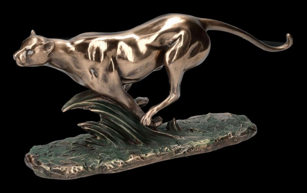 VERONESE FUTO GEPARD https://www.andreashop.sk/files/kat_img/02.jpg_OID_RQW0J00101.jpg