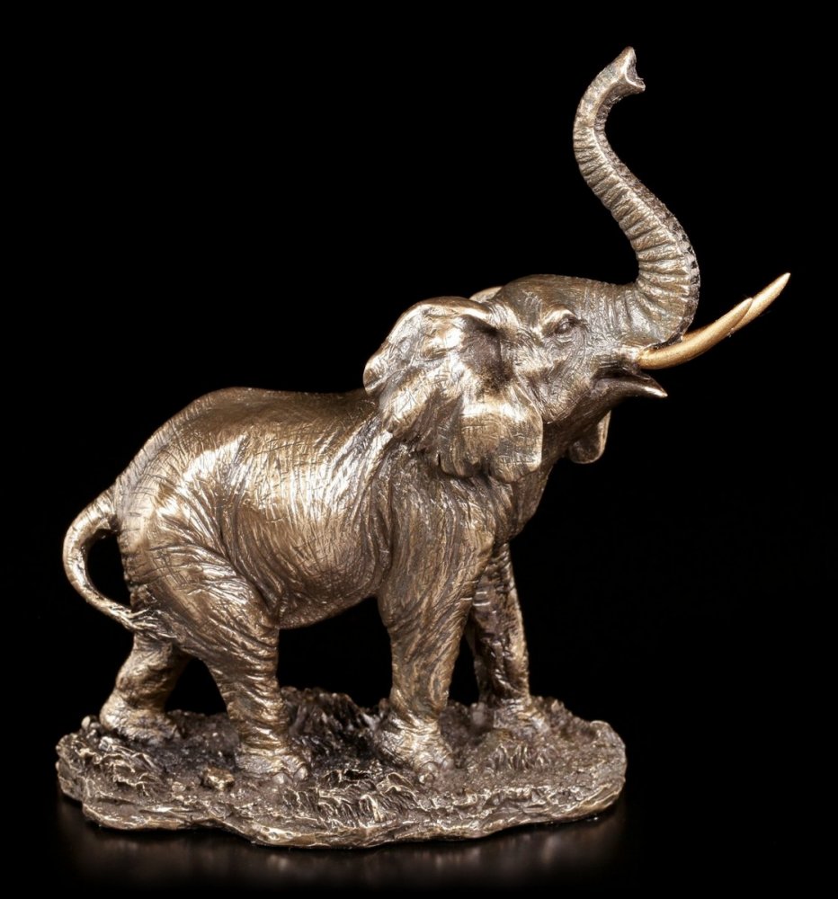 VERONESE ELEFANT https://www.andreashop.sk/files/kat_img/02.jpg_OID_UCW0J00101.jpg