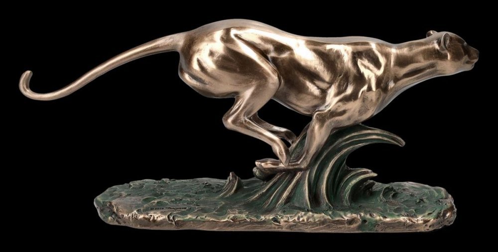 VERONESE FUTO GEPARD https://www.andreashop.sk/files/kat_img/03.jpg_OID_SQW0J00101.jpg