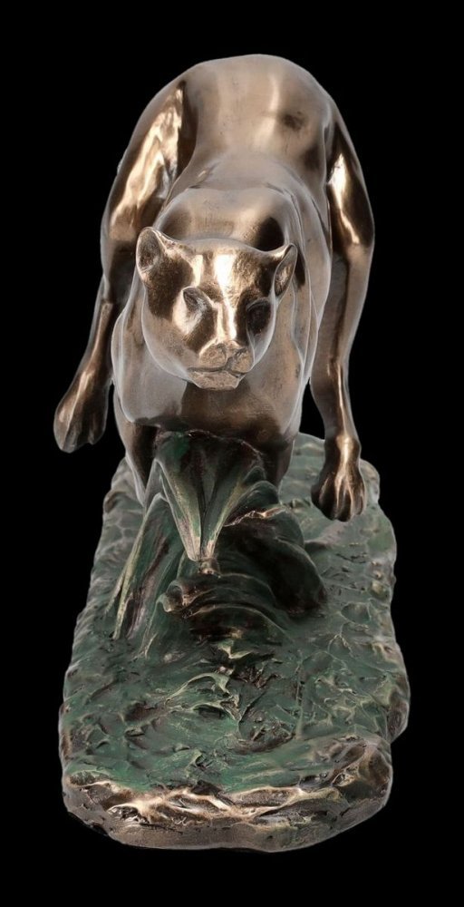 VERONESE FUTO GEPARD https://www.andreashop.sk/files/kat_img/05.jpg_OID_UQW0J00101.jpg