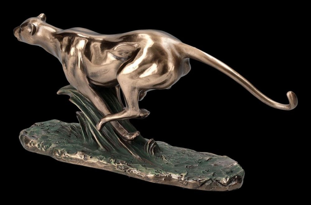 VERONESE FUTO GEPARD https://www.andreashop.sk/files/kat_img/06.jpg_OID_VQW0J00101.jpg