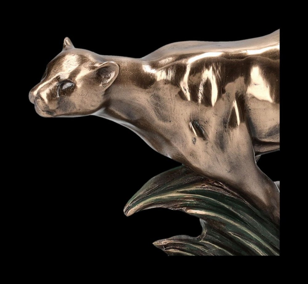 VERONESE FUTO GEPARD https://www.andreashop.sk/files/kat_img/08.jpg_OID_XQW0J00101.jpg