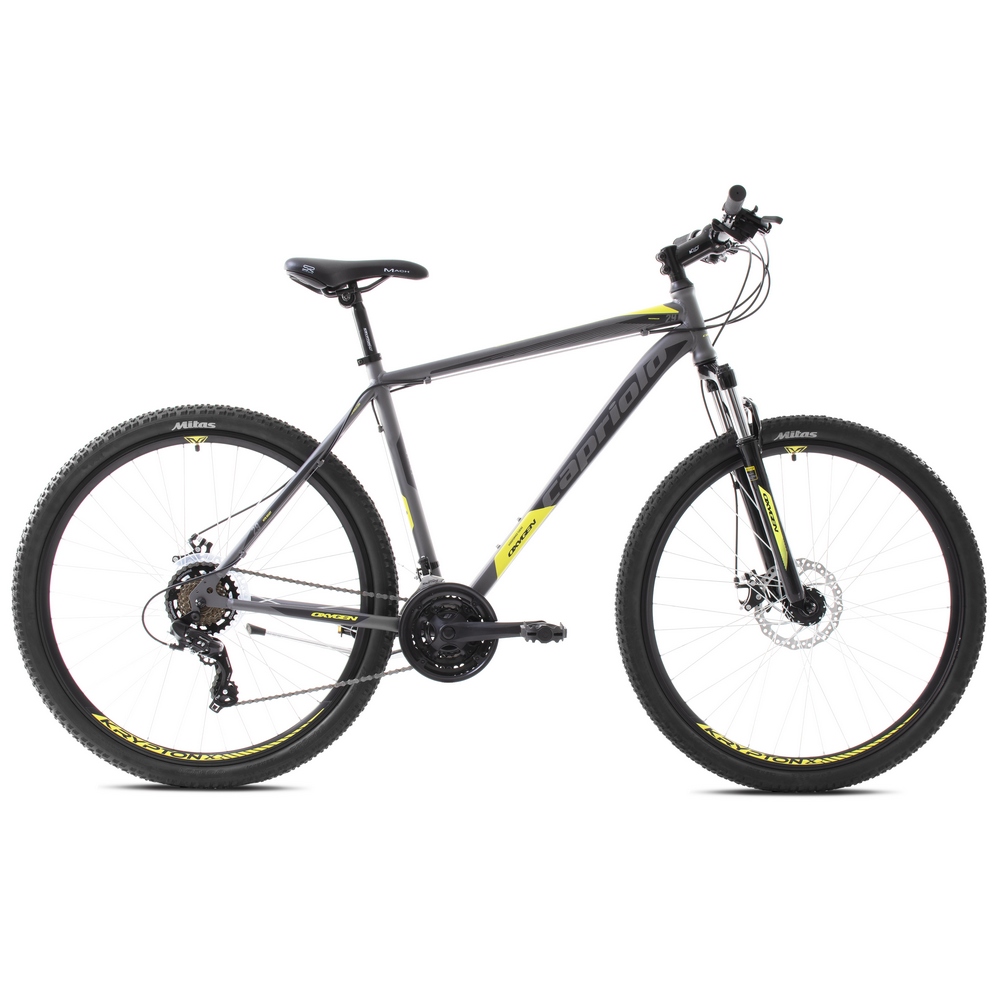 https://www.andreashop.sk/files/kat_img/CAPRIOLO_OXYGEN_PANKSY_HORSKY_BICYKEL_ZELENO-STRIEBORNY.jpg_OID_73CW400101.jpg