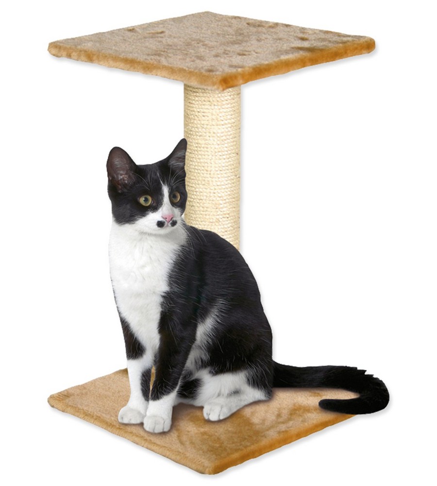 https://www.andreashop.sk/files/kat_img/MAGIC_CAT_ODPOCIVADLO_BEATA_BEZOVE_60_CM_1.jpg_OID_43XW300101.jpg