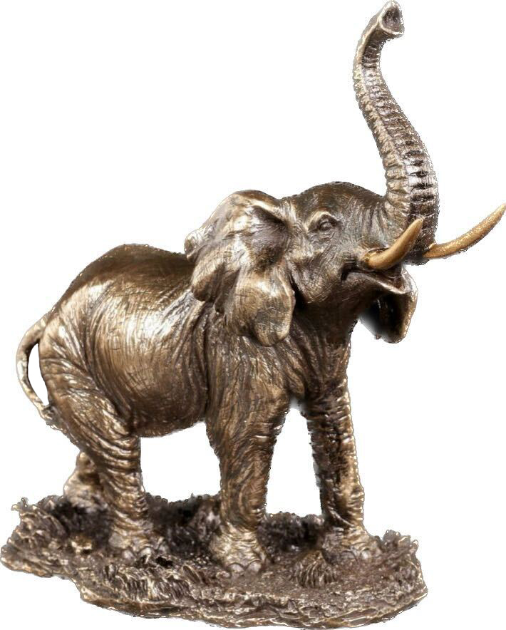 VERONESE ELEFANT https://www.andreashop.sk/files/kat_img/slon.jpg_OID_4TG1J00101.jpg